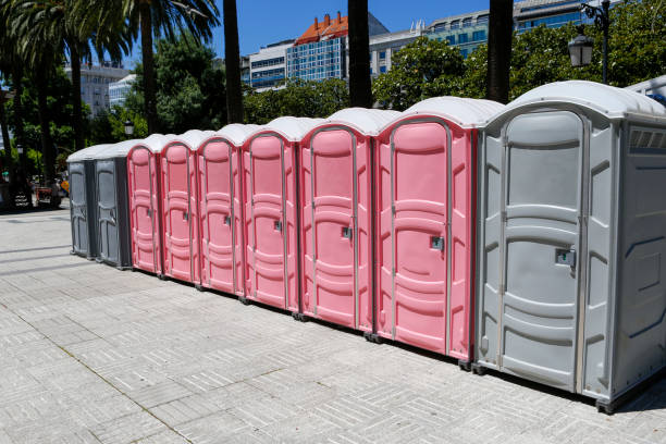 Best Portable Restroom Removal and Pickup  in Chisago City, MN